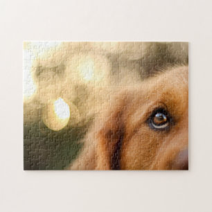 Golden Retriever Eye Puzzle