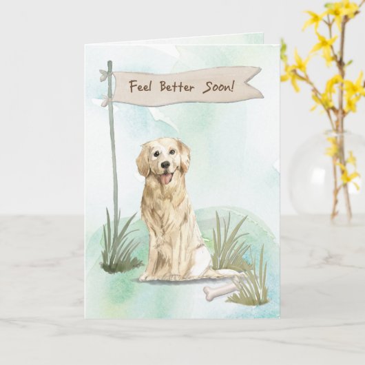 Golden Retriever Fee Better After Operation with D Karte (Gelbe Blume)