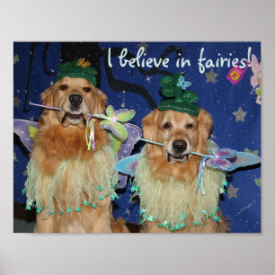 Golden retriever-Feen Poster