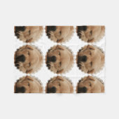 Golden retriever fleecedecke (Vorderseite (Horizontal))