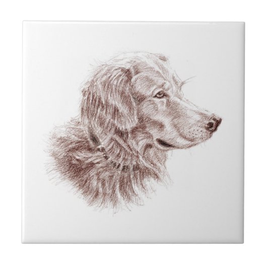 Golden Retriever Fliese (Vorderseite)