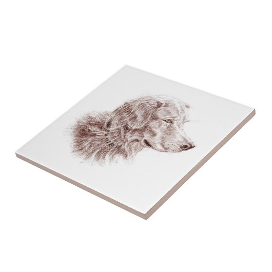 Golden Retriever Fliese (Seite)