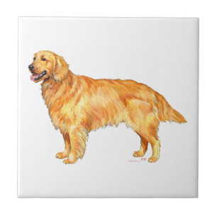 Golden Retriever Fliese