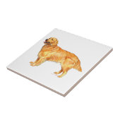 Golden Retriever Fliese (Seite)
