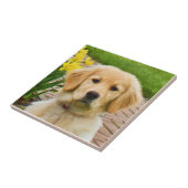 Golden retriever-Fliese Fliese (Seite)