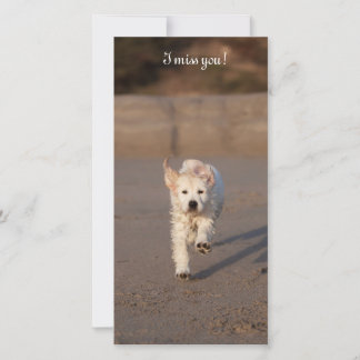 Golden Retriever Foto Card