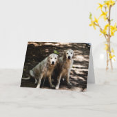 Golden Retriever Foto Card Karte (Gelbe Blume)