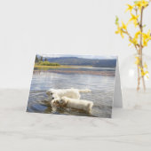 Golden Retriever Foto Card Karte (Gelbe Blume)