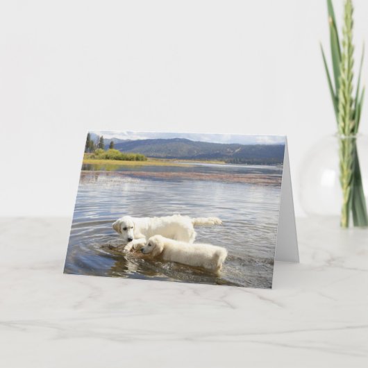 Golden Retriever Foto Card Karte (Vorderseite)
