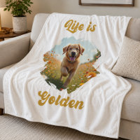 Golden Retriever Foto Das Leben ist golden
