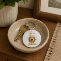 Golden Retriever Foto Das Leben ist golden