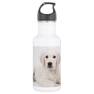 Golden Retriever Foto Edelstahlflasche