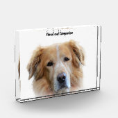 Golden Retriever. Fotoblock (Links)