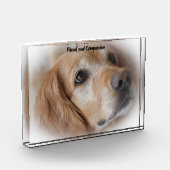 Golden Retriever. Fotoblock (Links)