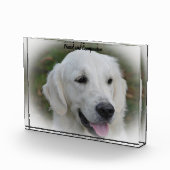 Golden Retriever. Fotoblock (Rechts)