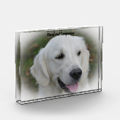 Golden Retriever. Fotoblock (Links)