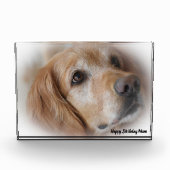 Golden Retriever. Fotoblock (Vorderseite)