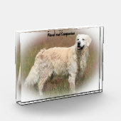 Golden Retriever. Fotoblock (Links)