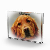 Golden Retriever. Fotoblock (Rechts)