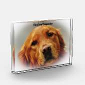 Golden Retriever. Fotoblock (Links)