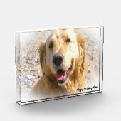 Golden Retriever. Fotoblock (Links)
