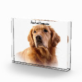 Golden Retriever. Fotoblock (Rechts)
