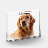 Golden Retriever. Fotoblock (Links)