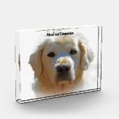 Golden Retriever. Fotoblock (Links)