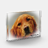 Golden Retriever. Fotoblock (Links)