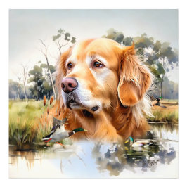 Golden Retriever Fotodruck