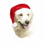 Golden Retriever Fotoskulptur Ornament<br><div class="desc">Dieses Weihnachtsschmuck eines goldenen Retriever Hundes kommt mit einem roten Band zum Aufhängen. Die endgültige Größe ist ungefährlich und hängt von der Größe des ausgeschnittenen Bildes ab.</div>