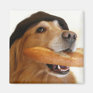 Golden retriever-französisches Brot-Magnet Magnet