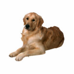 Golden retriever freistehende fotoskulptur<br><div class="desc">Diese Fotoskulptur ist von einem schönen goldenen Retriever. Sie können diesen Entwurf besonders anfertigen und ihn in einer Vielzahl von Größen bestellen. Dieser Entwurf des goldenen Retrievers ist auch verfügbar als geformte,  Ausschnittmagneten,  Verzierungen,  Buttone und Schlüsselanhänger.</div>