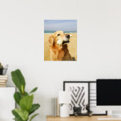 Golden Retriever fressen Knochen Poster (Heimbüro)