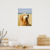 Golden Retriever fressen Knochen Poster (Küche)