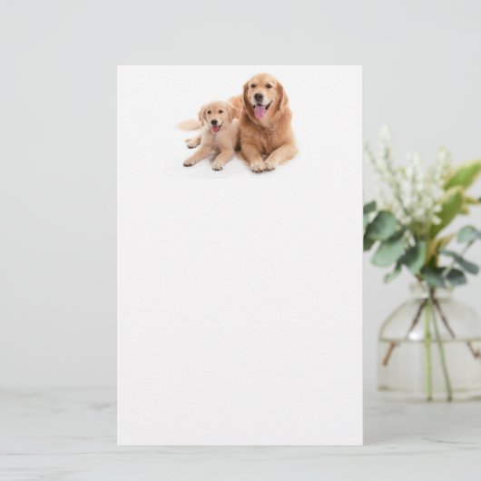 Golden retriever-Freunde Briefpapier (Stehend Vorderseite)