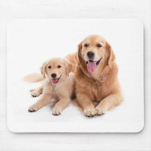 Golden retriever-Freunde Mousepad (Vorne)