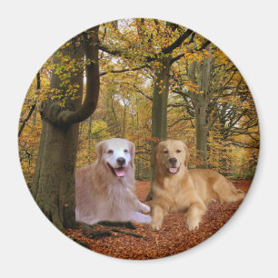 Golden retriever-Freundschafts-Magnet Magnet