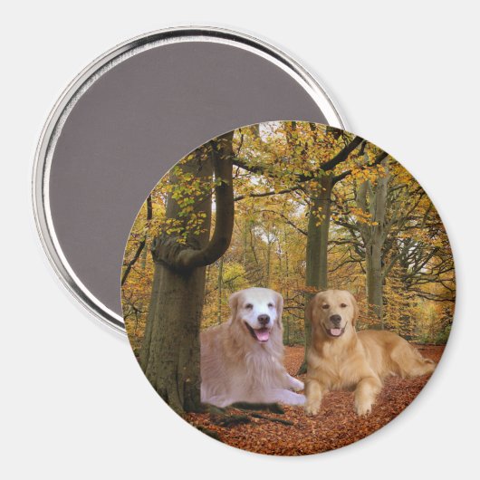Golden Retriever Friendship Magnet (Vorderseite/Rückseite)
