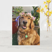 Golden Retriever Frühling oder Alltags Karte (Gelbe Blume)