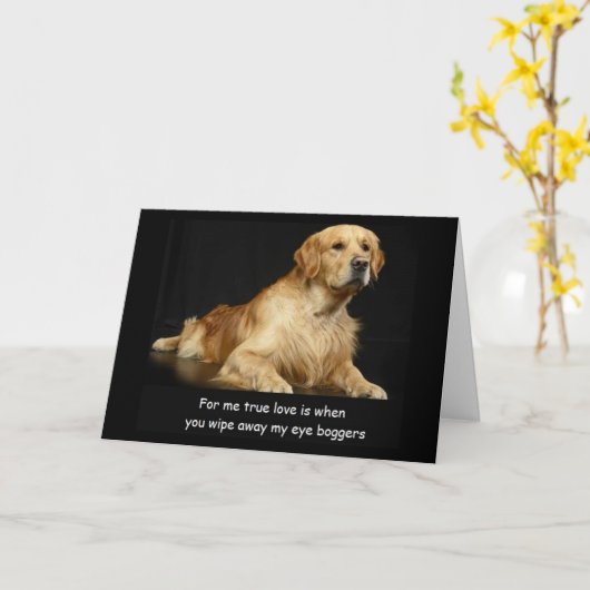 Golden Retriever Funny Birthday Card Karte (Gelbe Blume)