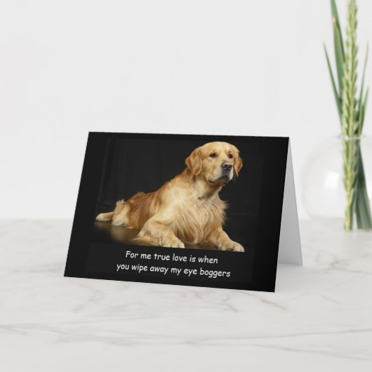 Golden Retriever Funny Birthday Card Karte (Vorderseite)