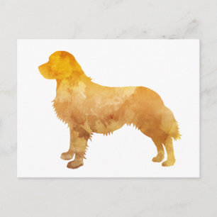 Golden Retriever (Fußballspieler) Postkarte