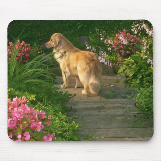 Golden retriever-Garten Mousepad (Vorne)