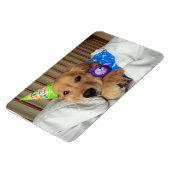 Golden Retriever Geburtstag Magnet (Linke Seite)