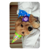 Golden Retriever Geburtstag Magnet (Vertikal)