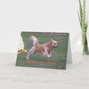 Golden retriever-Geburtstags-Karte 'Age Karte