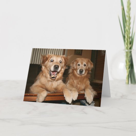 Golden Retriever Geburtstagskarte Karte (Vorderseite)