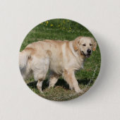 Golden retriever-Gehen Button (Vorderseite)