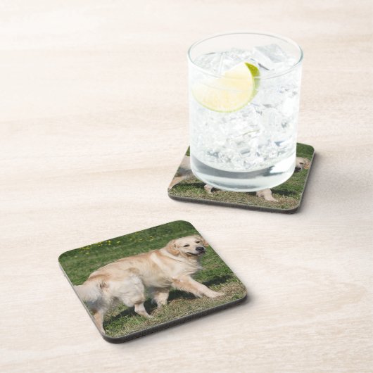 Golden retriever-Gehen Getränkeuntersetzer (Rechte Seite)
